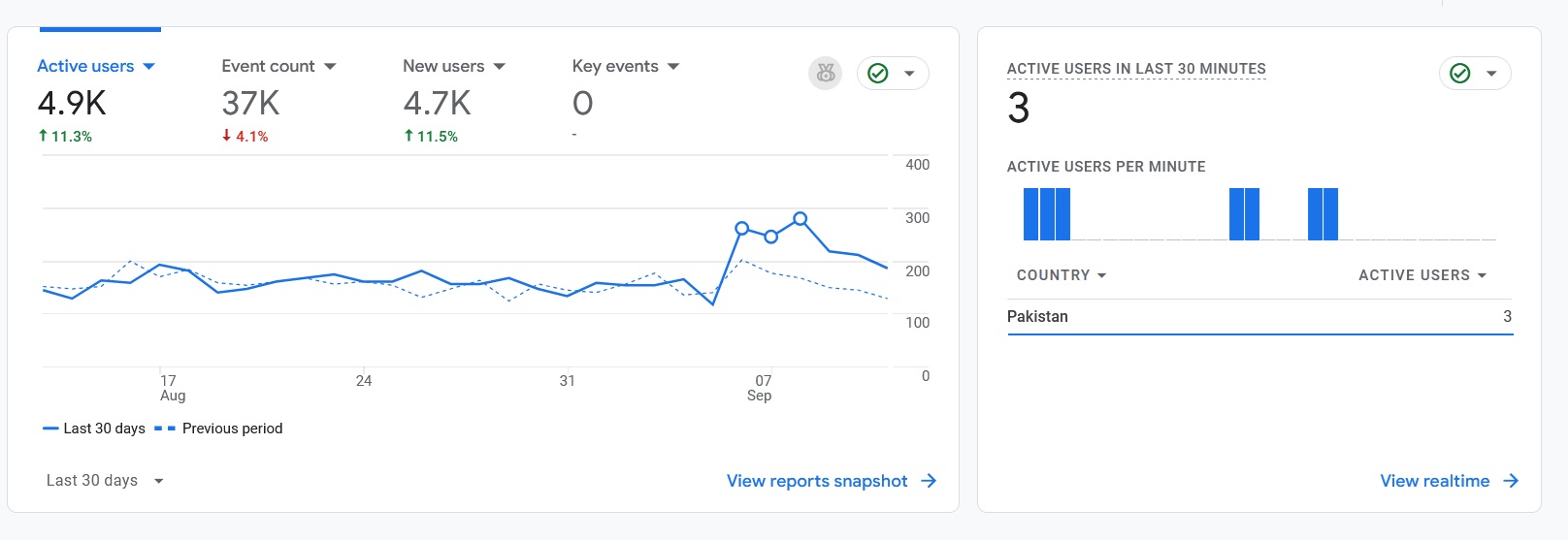 Last 30 Days Google Analytics Stats - Local SEO Project